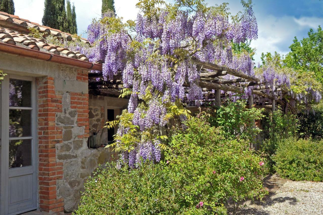 Villa Chiarentana Di Donata Origo Chianciano Terme Exterior foto